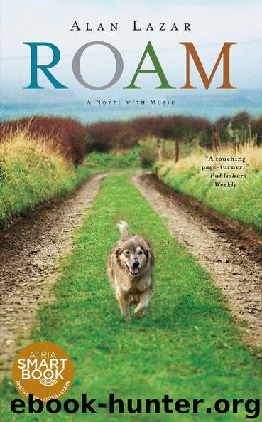 Roam_3 by Alan Lazar