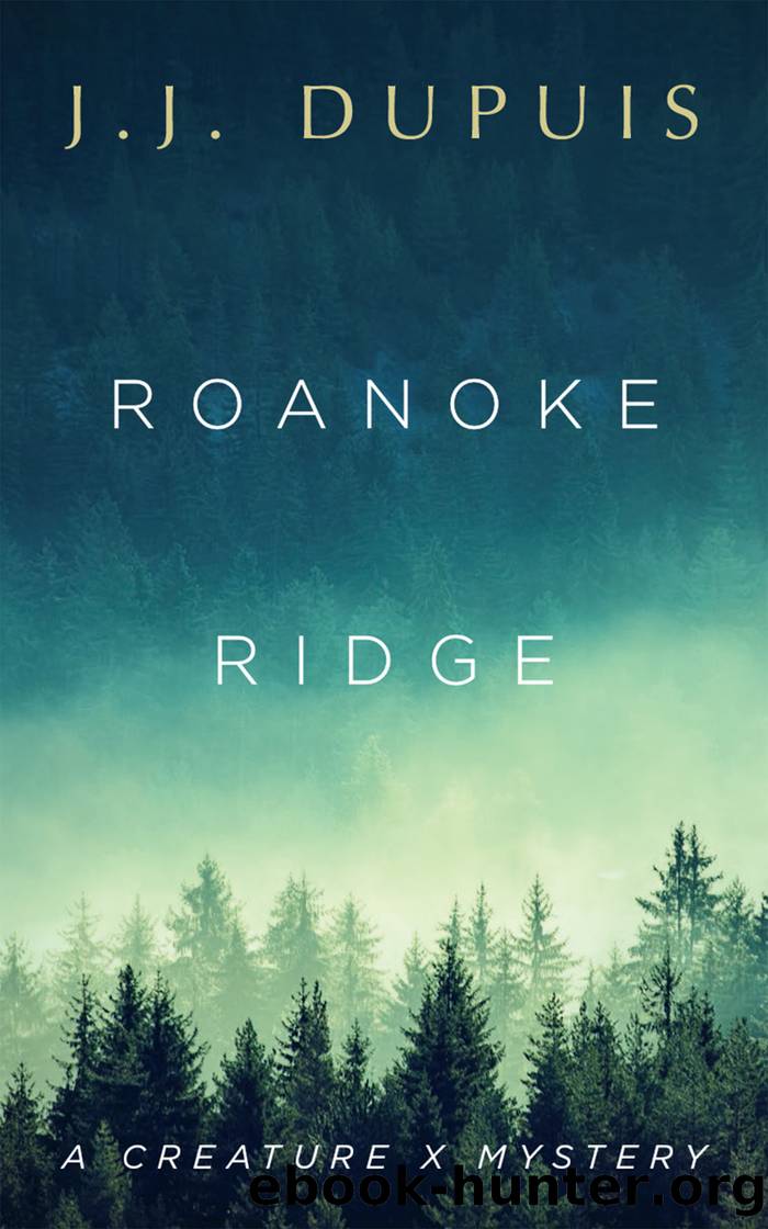 Roanoke Ridge by J.J. Dupuis