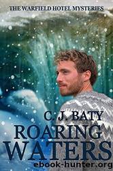 Roaring Waters by C J Baty