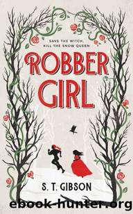 Robbergirl by S T Gibson