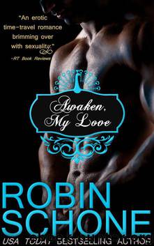 Robin Schone by Awaken My Love