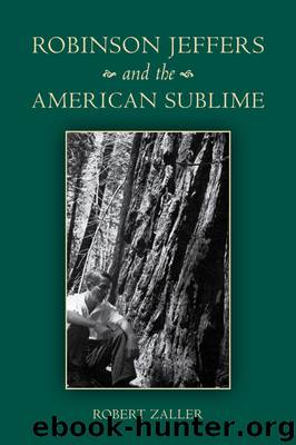 Robinson Jeffers and the American Sublime by Zaller Robert