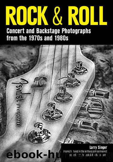 Rock & Roll by Larry Singer