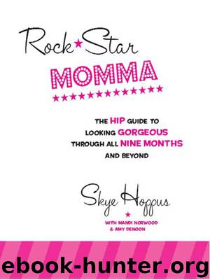 Rock Star Momma by Skye Hoppus & Mandi Norwood & Amy Denoon