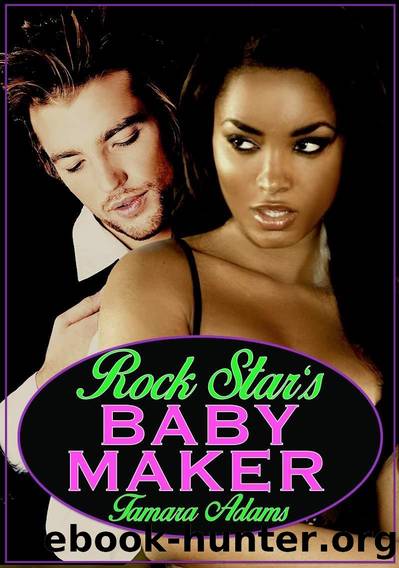 Rock Star's Baby Maker (BWWM, Rock Star, Billionaire, Pregnancy) by Tamara Adams