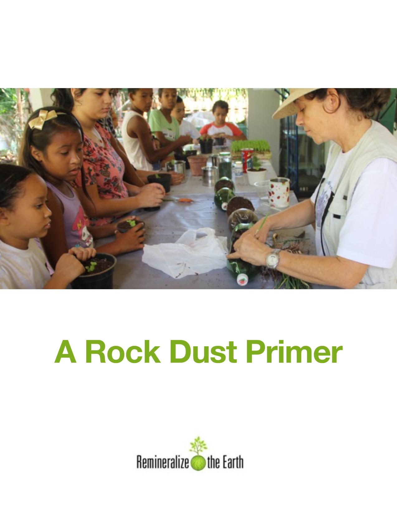 Rock-Dust-Primer by Unknown