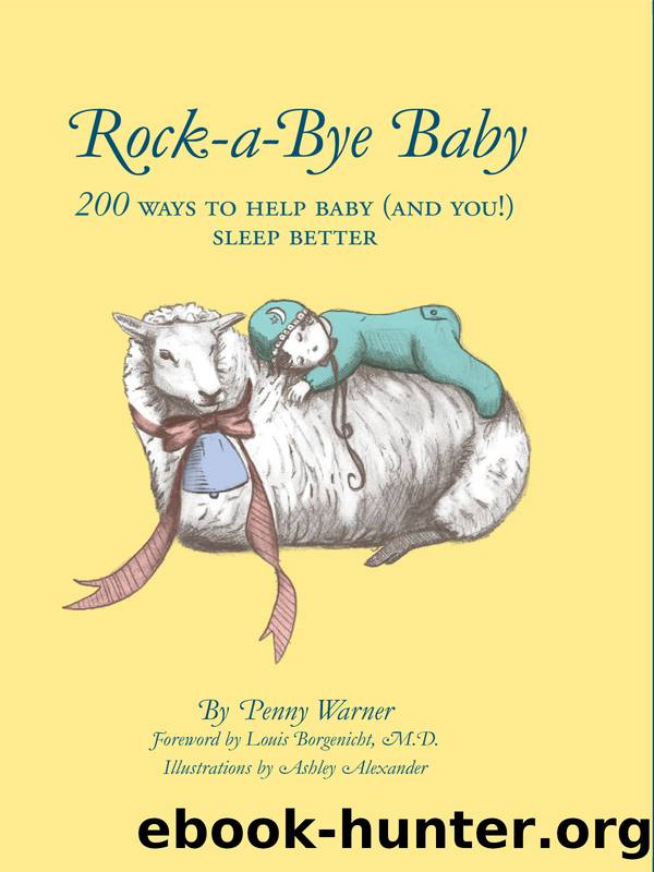 Rock-a-Bye Baby by Penny Warner