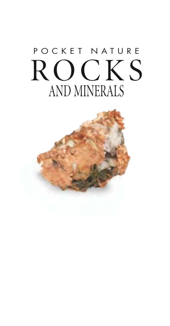 Rocks and Minerals (Pocket Nature) by Monica Price