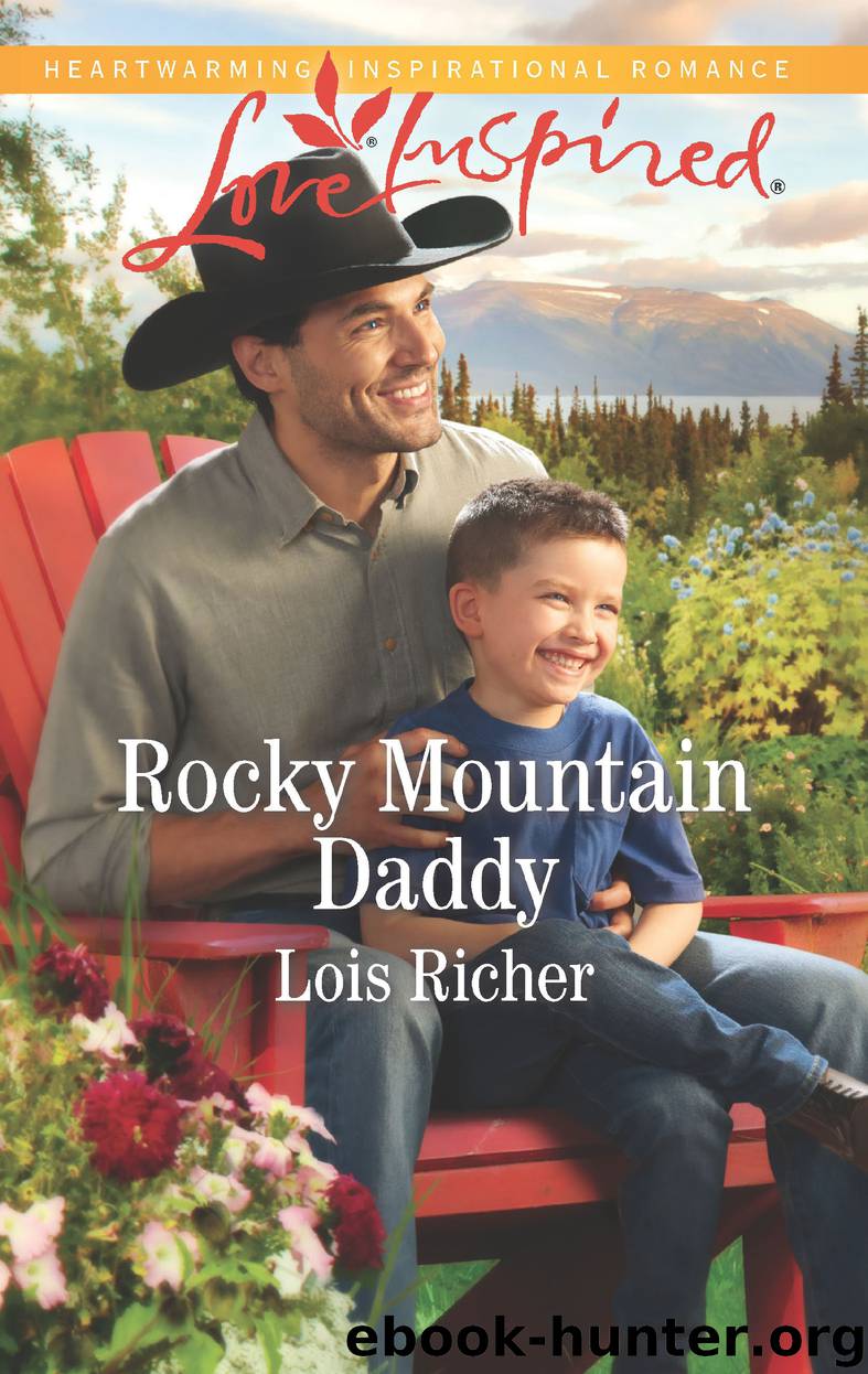 Rocky Mountain Daddy by Lois Richer
