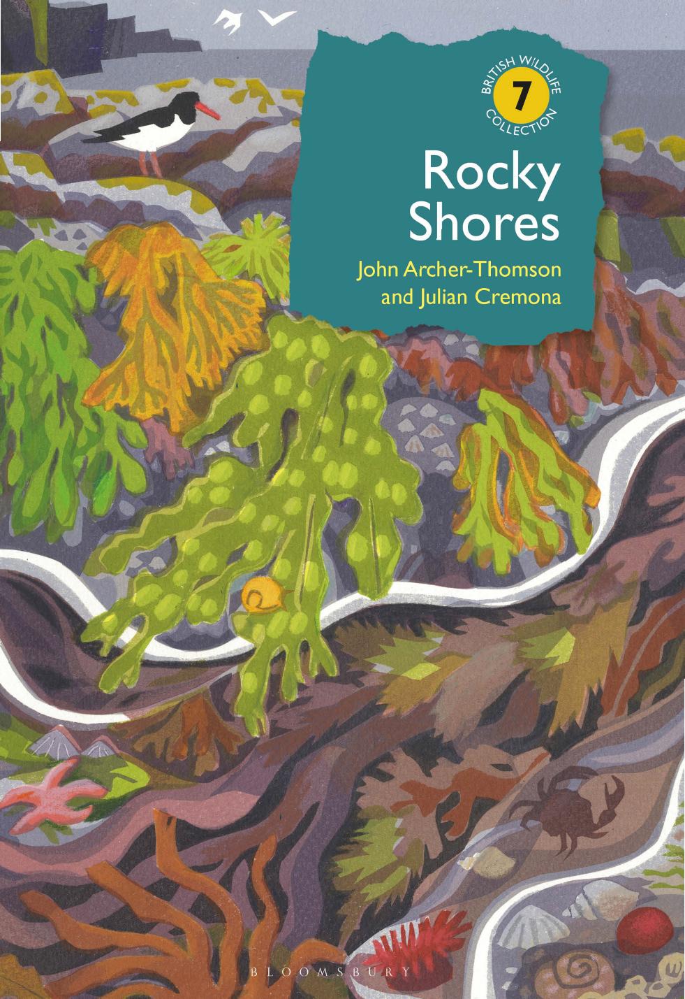 Rocky Shores (British Wildlife Collection) by Unknow