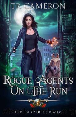 Rogue Agents on the Run (Rogue Agents of Magic Book 2) by TR Cameron & Martha Carr & Michael Anderle