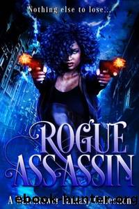 Rogue Assassin by Adam Johnson