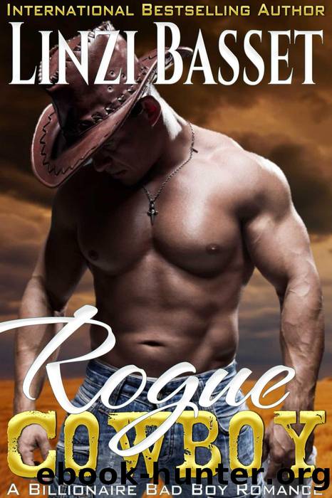 Rogue Cowboy by Linzi Basset