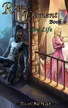 Rogue Element 2: City Life by Silas Keplar