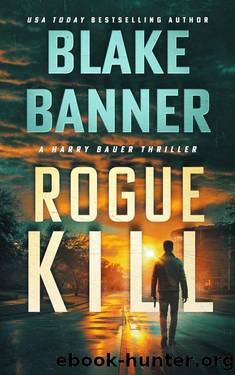 Rogue Kill by Blake Banner
