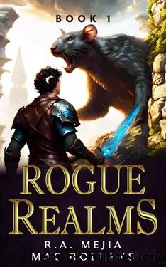 Rogue Realms - Book 1: (A LitRPG Adventure) by R.A. Mejia & Mac Rollans & Joshua Swayne