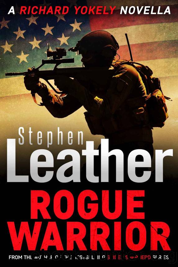 Rogue Warrior by Stephen Leather