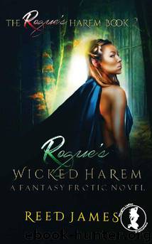 Rogue's Wicked Harem by Reed James