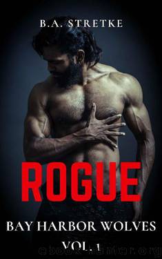 Rogue: Bay Harbor Wolves Vol. 1 by B.A. Stretke