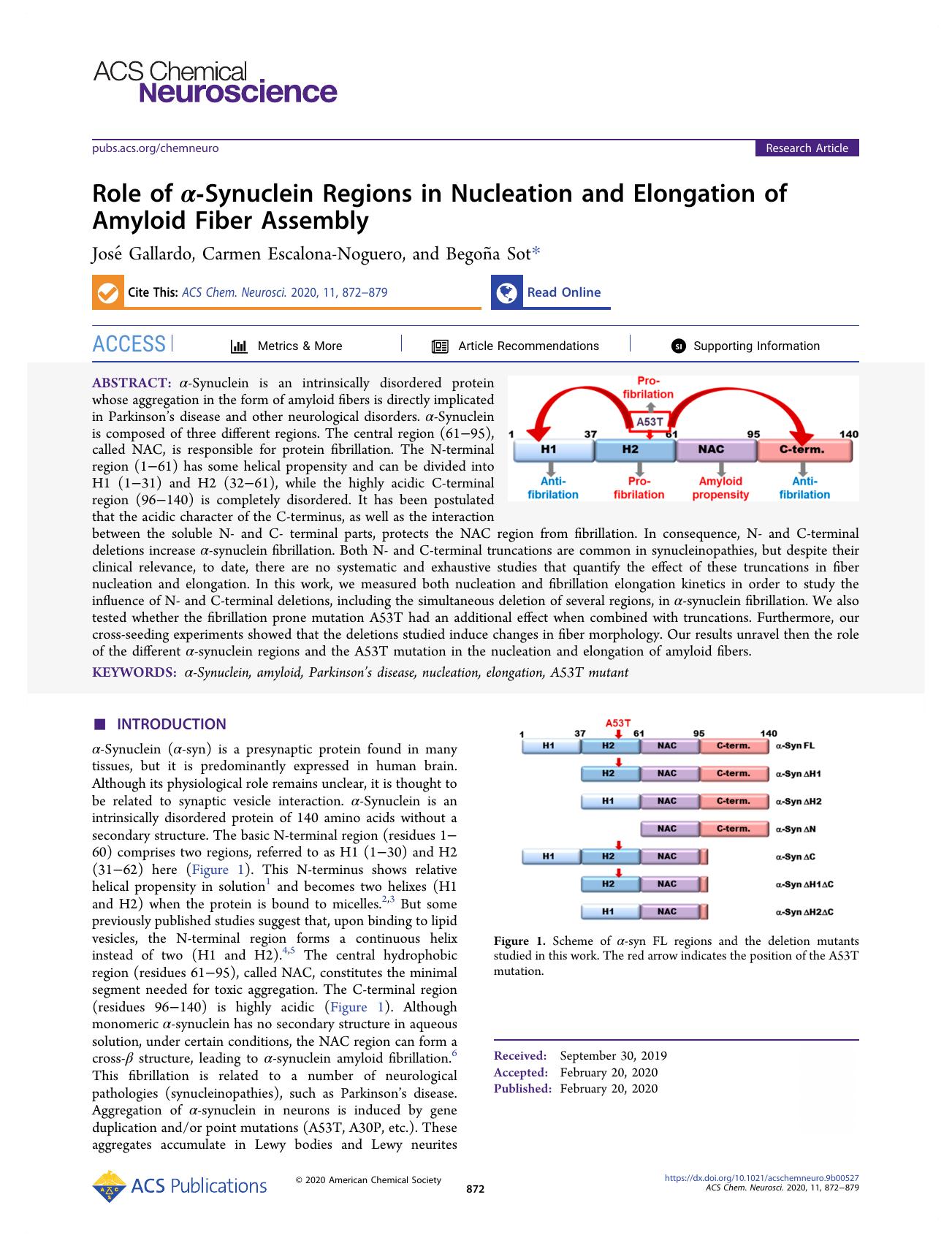 Role of Î±-Synuclein Regions in Nucleation and Elongation of Amyloid Fiber Assembly by José Gallardo Carmen Escalona-Noguero and Begoña Sot