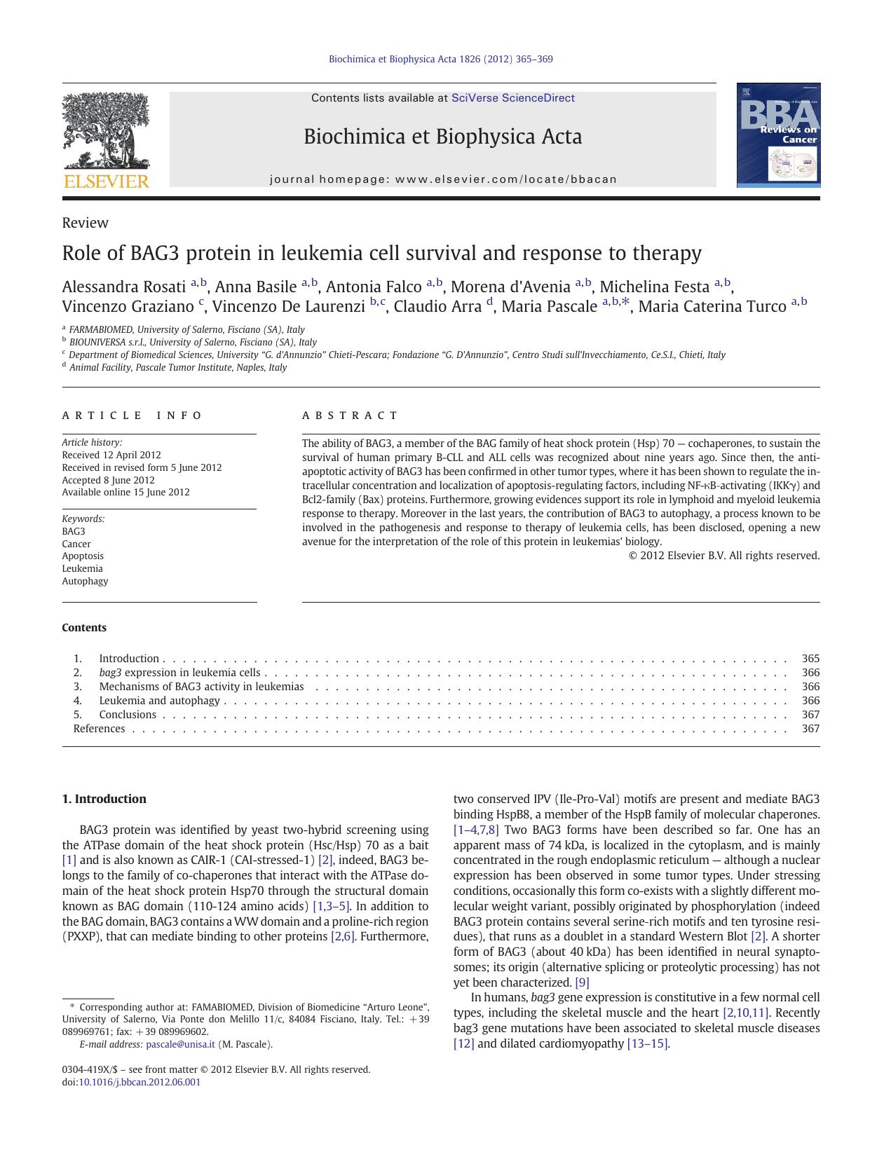 Role of BAG3 protein in leukemia cell survival and response to therapy by unknow
