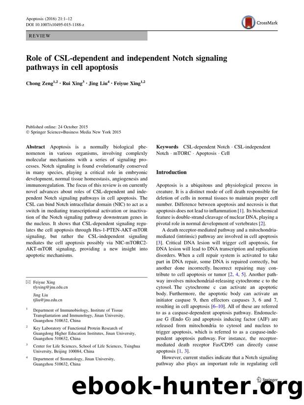 Role of CSL-dependent and independent Notch signaling pathways in cell apoptosis by Chong Zeng & Rui Xing & Jing Liu & Feiyue Xing