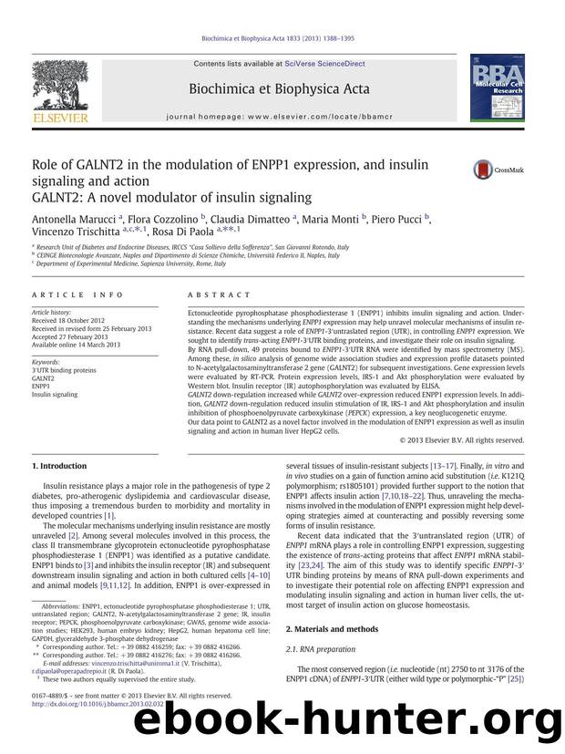 Role of GALNT2 in the modulation of ENPP1 expression, and insulin signaling and action by unknow