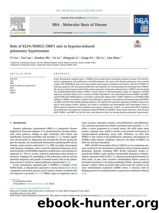 Role of KLF4NDRG1DRP1 axis in hypoxia-induced pulmonary hypertension by Yi Liu & Yue Luo & Xianbao Shi & Ya Lu & Hongyan Li & Gaoge Fu & Xin Li & Lina Shan