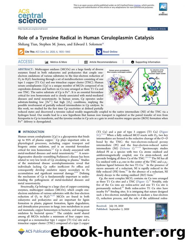 Role of a Tyrosine Radical in Human Ceruloplasmin Catalysis by unknow