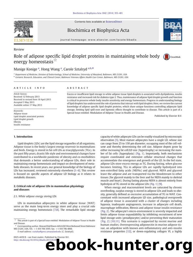 Role of adipose specific lipid droplet proteins in maintaining whole body energy homeostasis by Manige Konige & Hong Wang & Carole Sztalryd