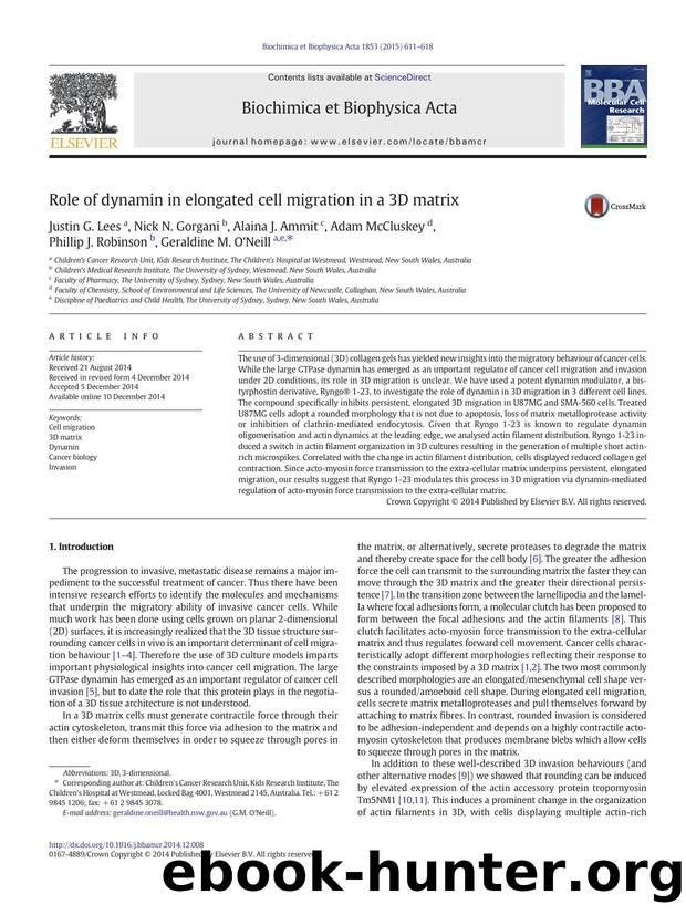 Role of dynamin in elongated cell migration in a 3D matrix by unknow
