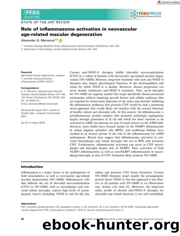 Role of inflammasome activation in neovascular ageârelated macular degeneration by Unknown