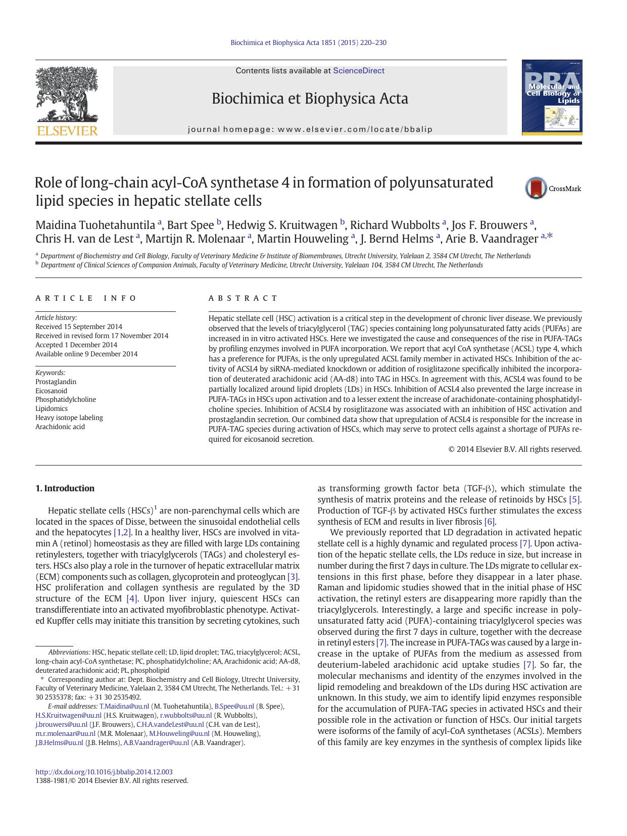 Role of long-chain acyl-CoA synthetase 4 in formation of polyunsaturated lipid species in hepatic stellate cells by unknow