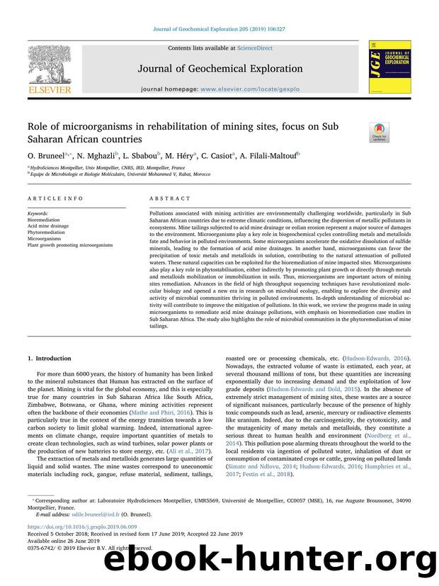 Role of microorganisms in rehabilitation of mining sites, focus on Sub Saharan African countries by O. Bruneel & N. Mghazli & L. Sbabou & M. Héry & C. Casiot & A. Filali-Maltouf