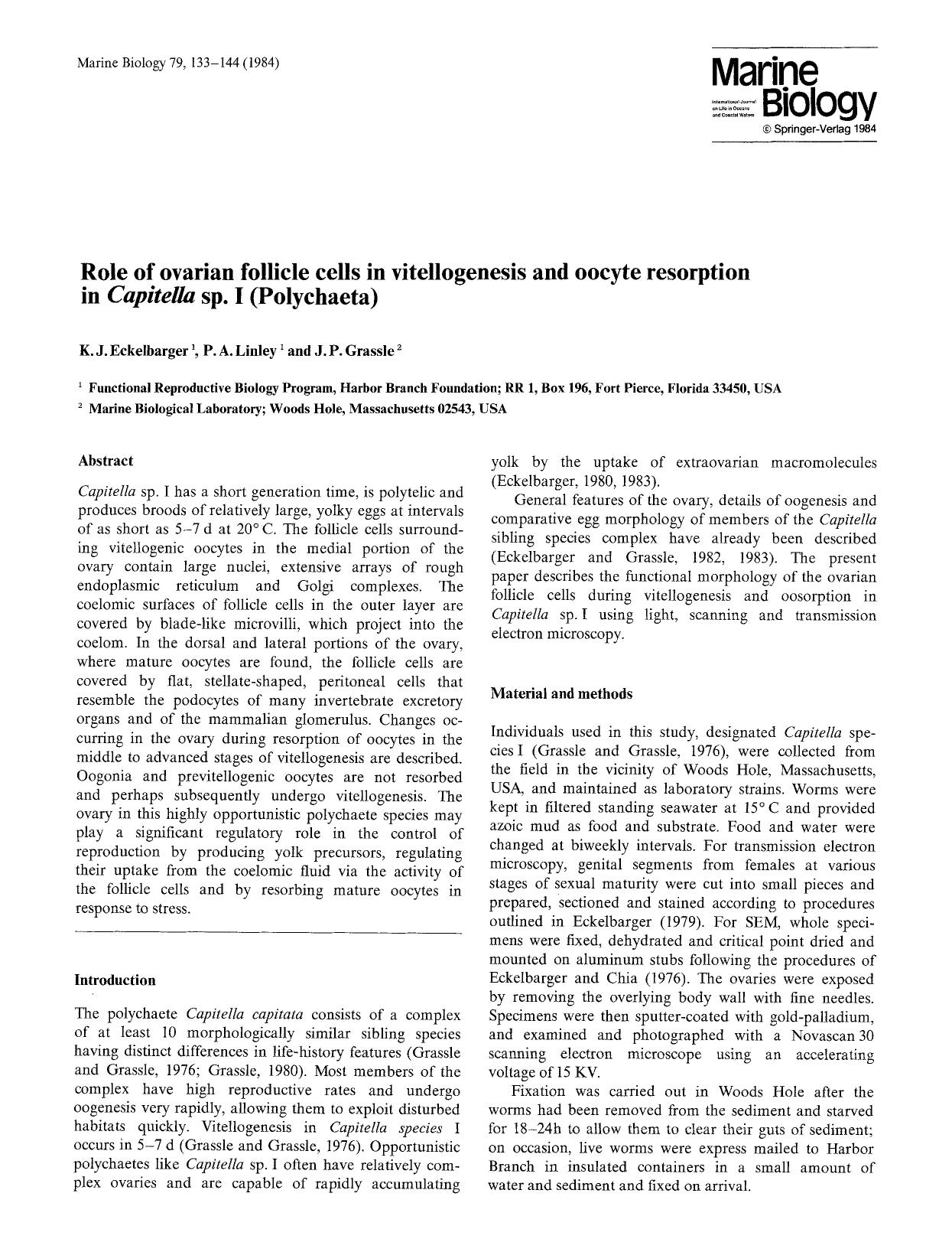 Role of ovarian follicle cells in vitellogenesis and oocyte resorption in <Emphasis Type="Italic">Capitella <Emphasis> sp. I (Polychaeta) by Unknown