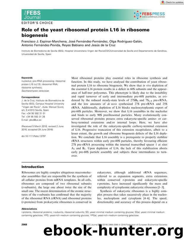 Role of the yeast ribosomal protein L16 in ribosome biogenesis by Unknown