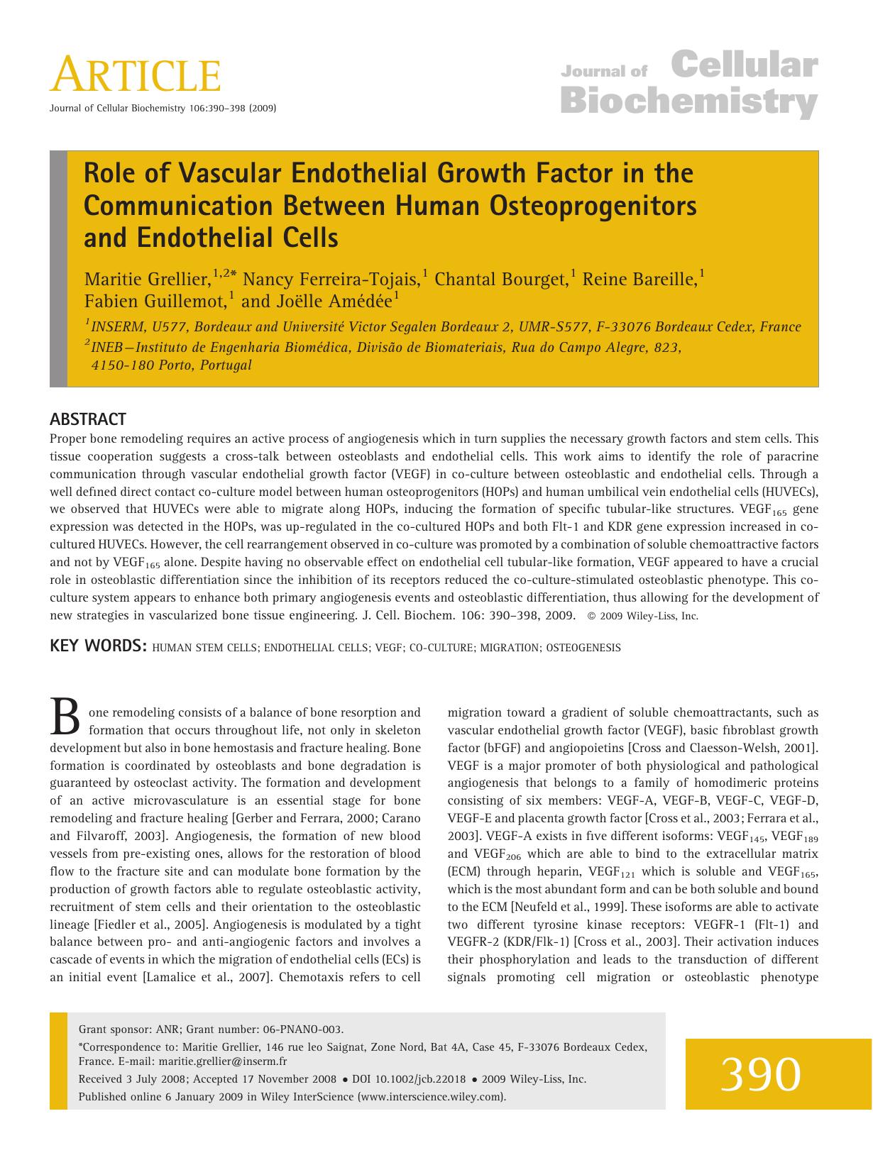 Role of vascular endothelial growth factor in the communication between human osteoprogenitors and endothelial cells by Unknown