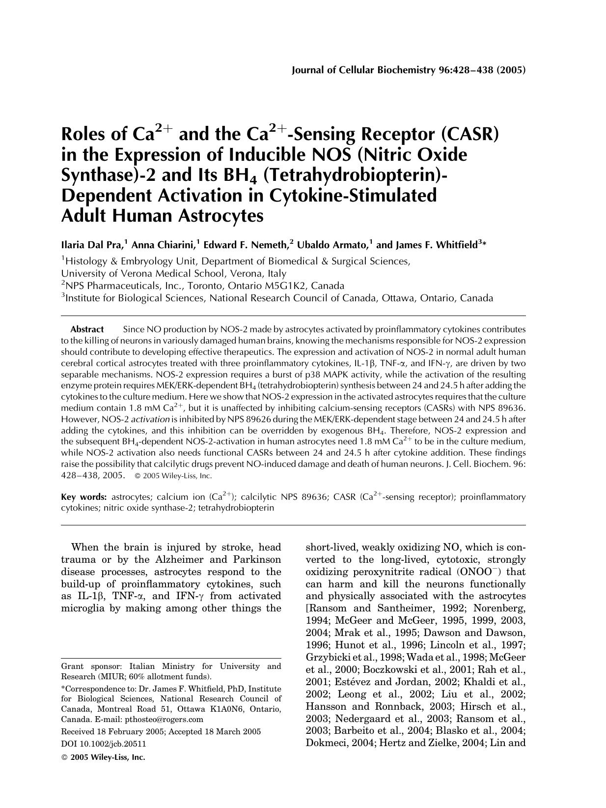 Roles of Ca2+ and the Ca2+-sensing receptor (CASR) in the expression of inducible NOS (nitric oxide synthase)-2 and its BH4 (tetrahydrobiopterin)-dependent activation in cytokine-s by Unknown