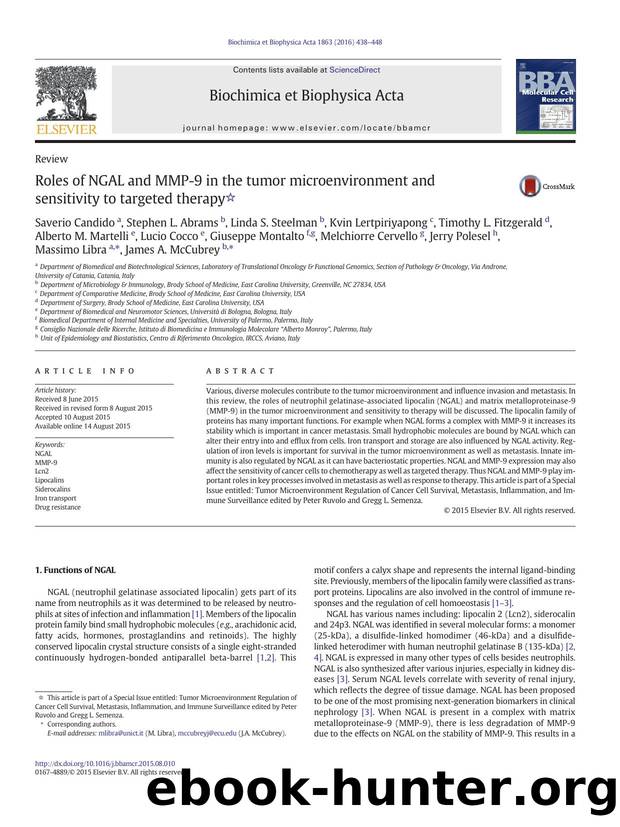Roles of NGAL and MMP-9 in the tumor microenvironment and sensitivity to targeted therapy by unknow