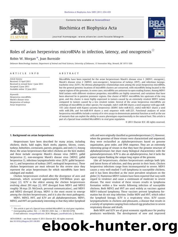 Roles of avian herpesvirus microRNAs in infection, latency, and oncogenesis by Robin W. Morgan & Joan Burnside