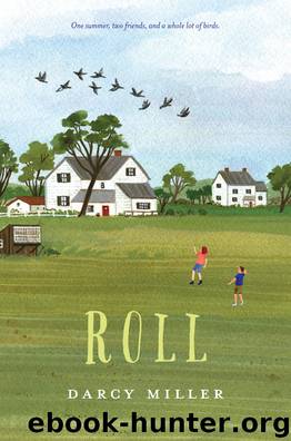 Roll by Darcy Miller