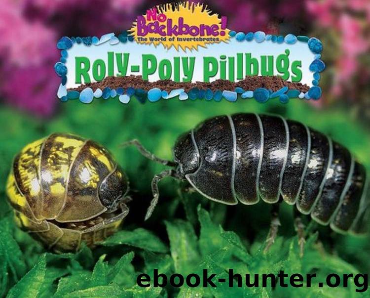 Roly-Poly Pillbugs (No Backbone! the World of Invertebrates) by Unknown