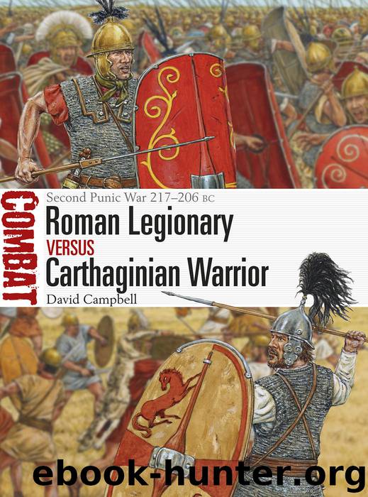 Roman Legionary vs Carthaginian Warrior by David Campbell