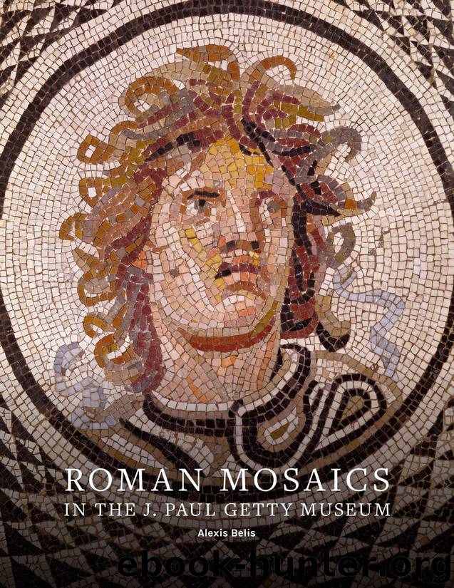 Roman Mosaics by Alexis Belis