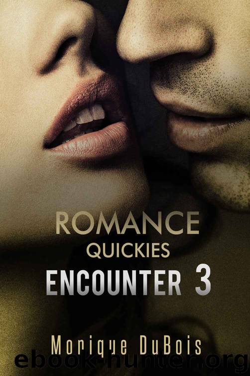 Romance: Quickies 3 by Monique Dubois & Free Romance Novels