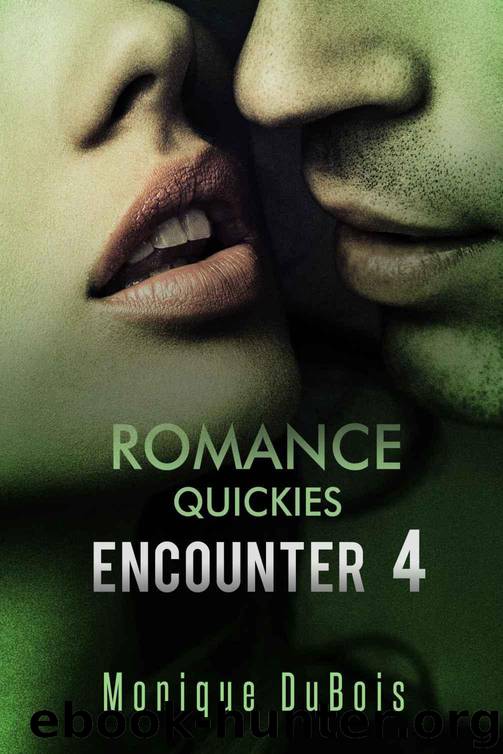 Romance: Quickies 4 by Monique Dubois & Free Romance Novels