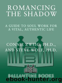 Romancing the Shadow by Connie Zweig & Steve Wolf