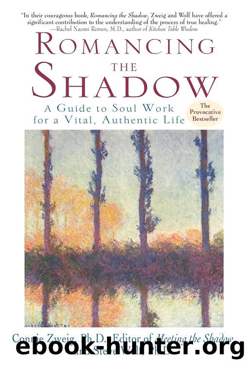 Romancing the Shadow: A Guide to Soul Work for a Vital, Authentic Life by Connie Zweig & Steven Wolf