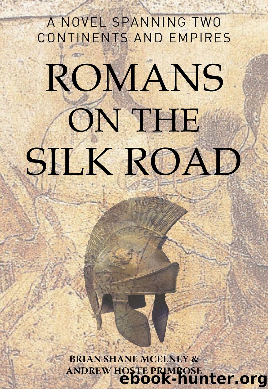 Romans on the Silk Road by McElney Brian;