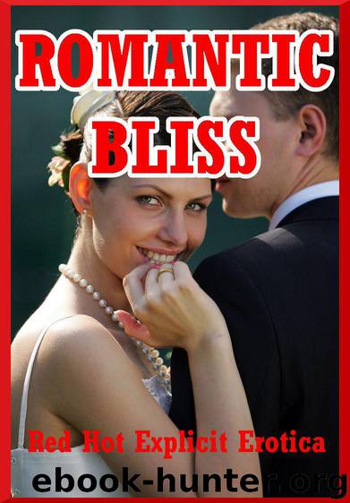Romantic Bliss: Five Explicit Erotica Stories by Andi Allyn & Nycole Folk & Sarah Blitz & Sandra Strike & Tanya Tung
